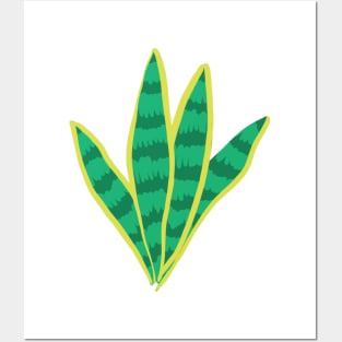 Aloe Vera Posters and Art